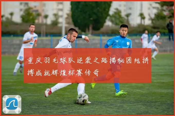 重庆羽毛球队逆袭之路揭秘团结拼搏成就辉煌杯赛传奇