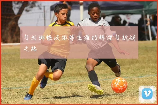 与刘娜畅谈排球生涯的辉煌与挑战之路