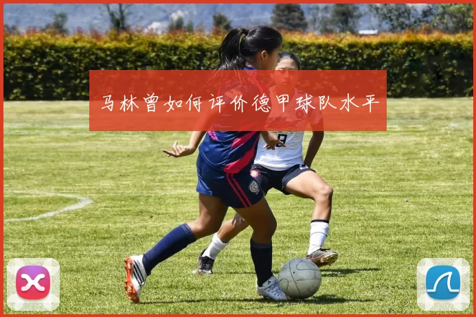 马林曾如何评价德甲球队水平