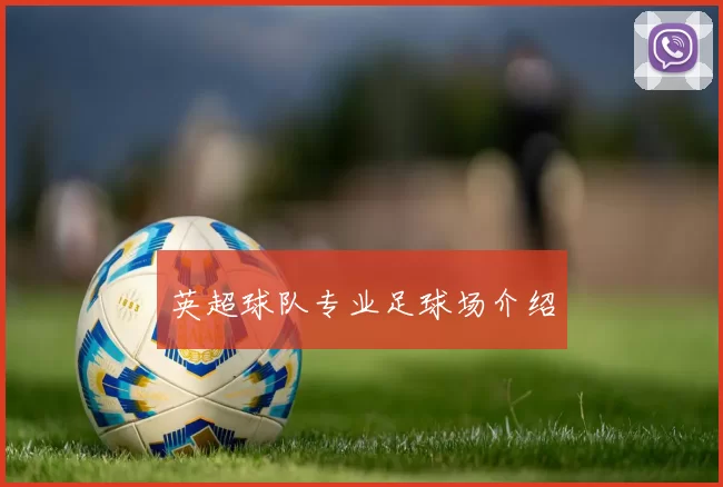 英超球队专业足球场介绍