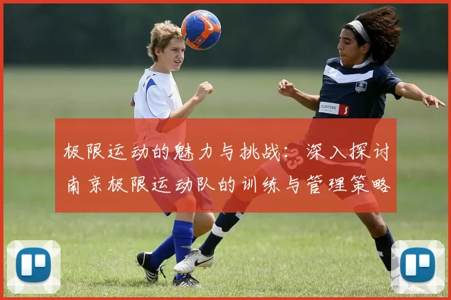 极限运动的魅力与挑战：深入探讨南京极限运动队的训练与管理策略