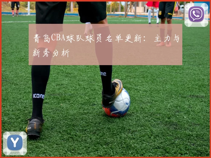 青岛CBA球队球员名单更新：主力与新秀分析