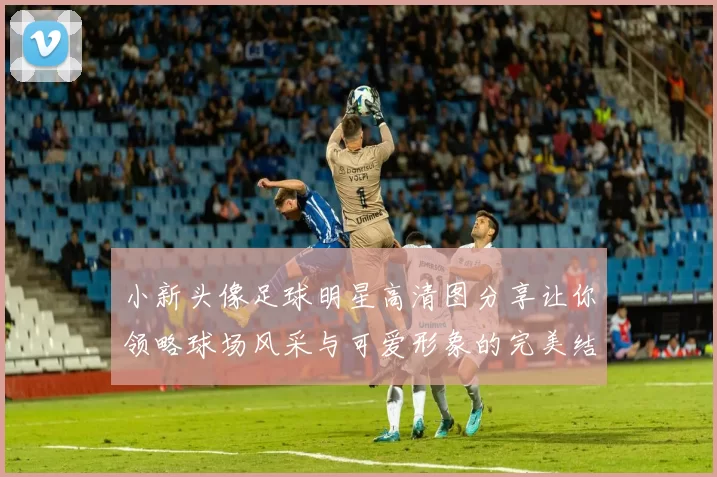 小新头像足球明星高清图分享让你领略球场风采与可爱形象的完美结合