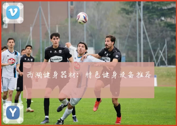 西湖健身器材：特色健身设备推荐