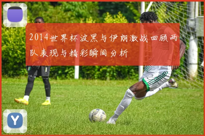 2014世界杯波黑与伊朗激战回顾两队表现与精彩瞬间分析