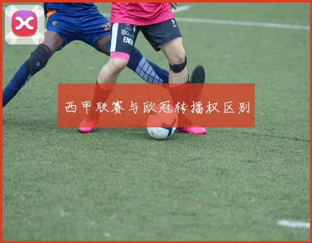 西甲联赛与欧冠转播权区别