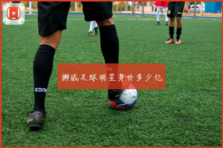 挪威足球明星身价多少亿