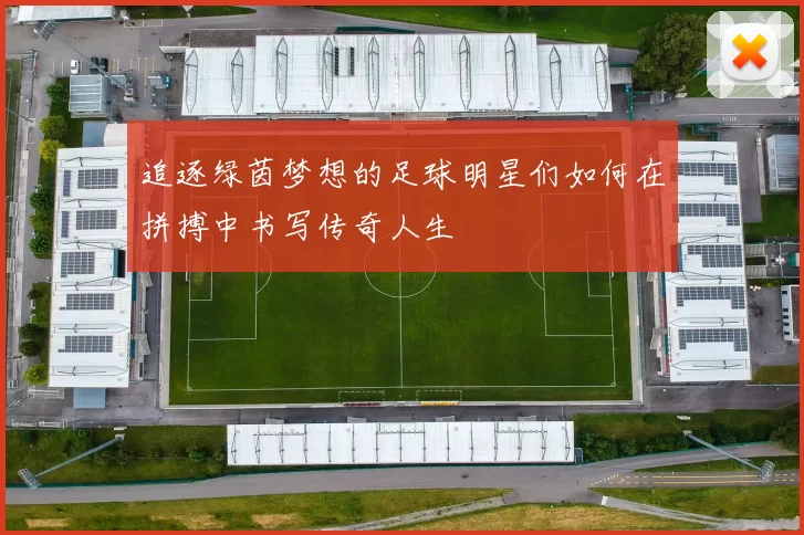 追逐绿茵梦想的足球明星们如何在拼搏中书写传奇人生