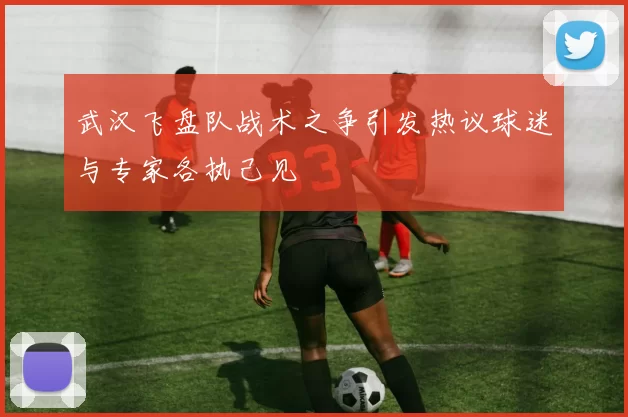 武汉飞盘队战术之争引发热议球迷与专家各执己见
