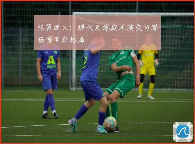 绿茵烽火：现代足球战术演变与赛场博弈新格局
